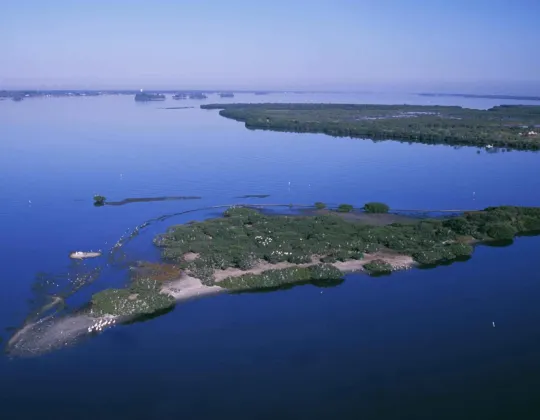 Aerial view of a small mangrove island in the Indian River Lagoon