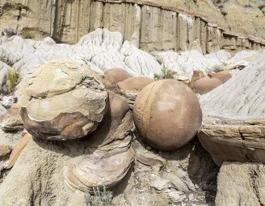 Round sandstone concretions in gray badlands in the North Unit