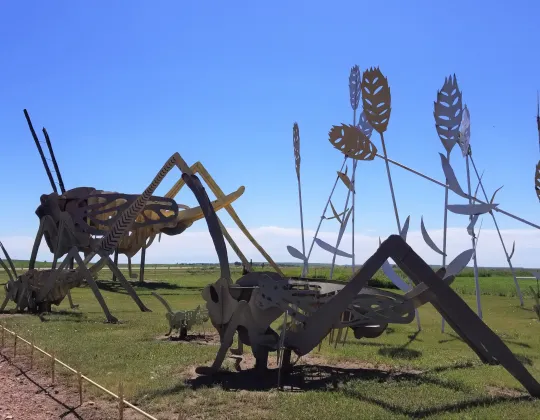 Giant metal grasshopper sculptures on the prairie