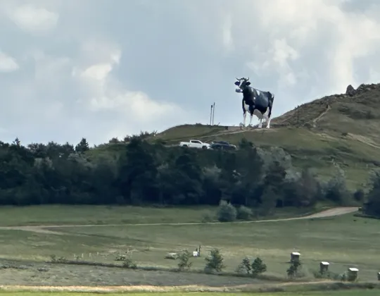 Salem Sue on a hilltop seen from Interstate 94