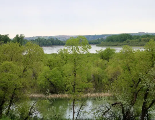 The Missouri and Yellowstone rivers meeting in green bottomland