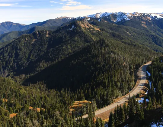Mountain ridges of the Olympic Range seen from Hurricane Ridge