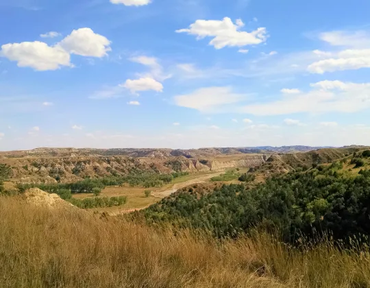 Rolling grassland and buttes in the Little Missouri National Grassland