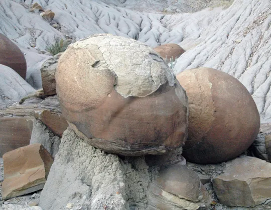 Round sandstone concretions weathering out of a badlands slope