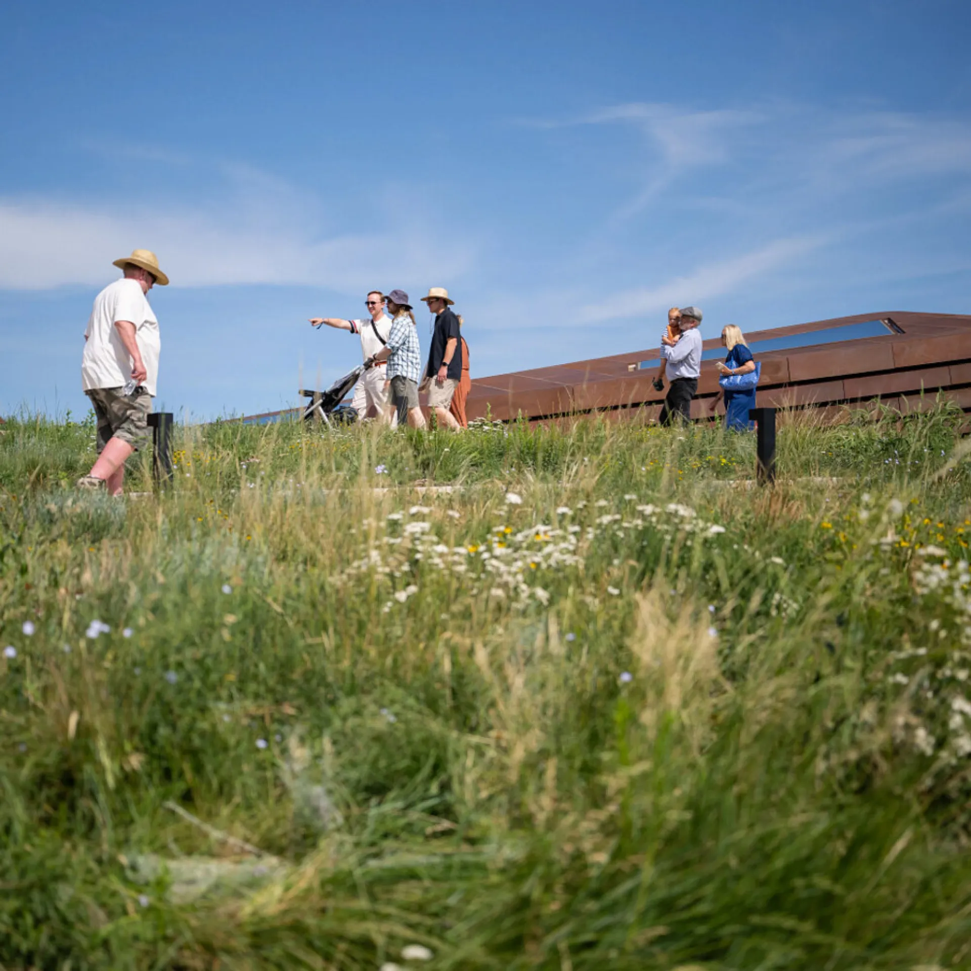 Visitors walking the grass-covered roof of the Theodore Roosevelt Presidential Library in Medora, North Dakota