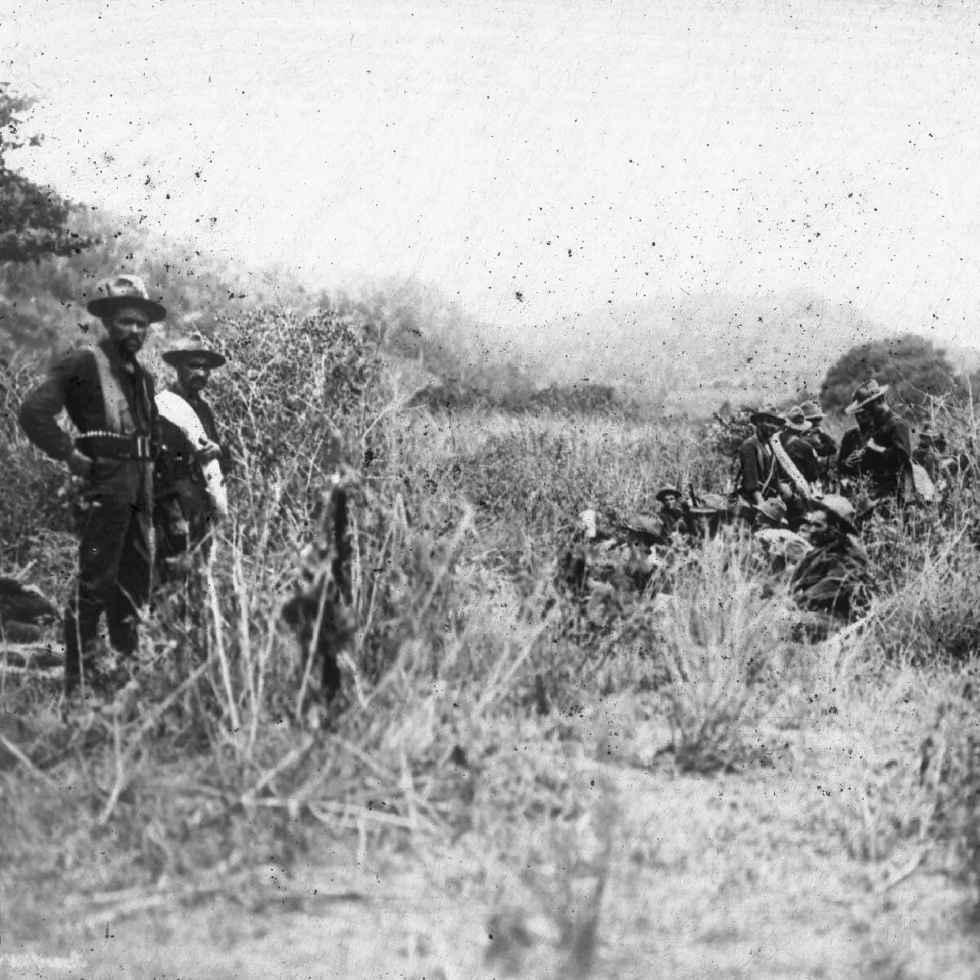 Rough Riders in the brush before the battle of San Juan Hill