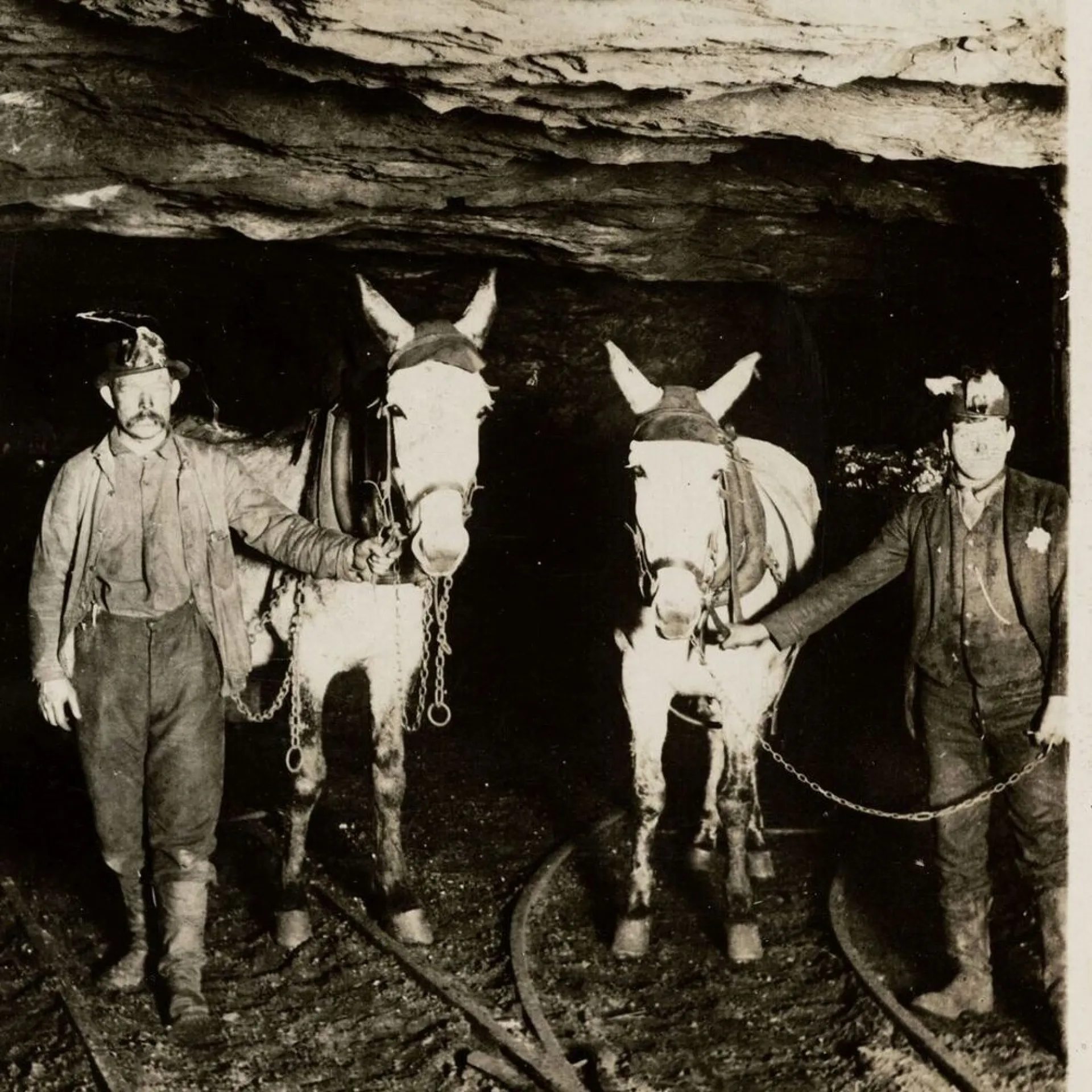 Two anthracite coal miners with their mules at the entrance of a Pennsylvania mine